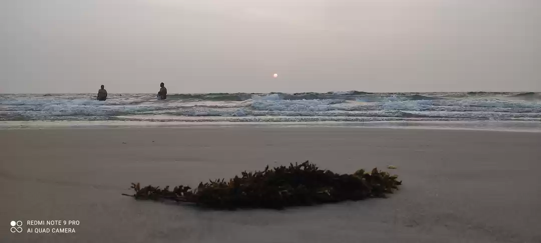 Photo of Coz you shouldn't mi