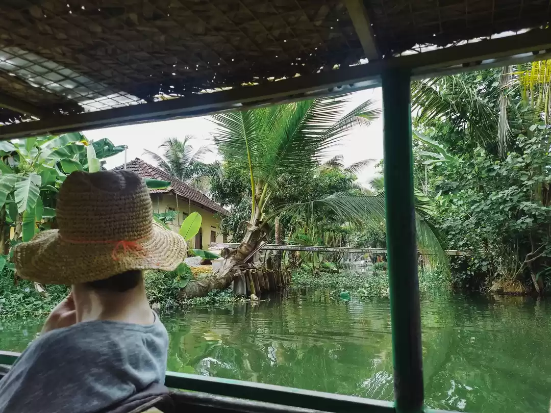 Photo of Delve into the beaut