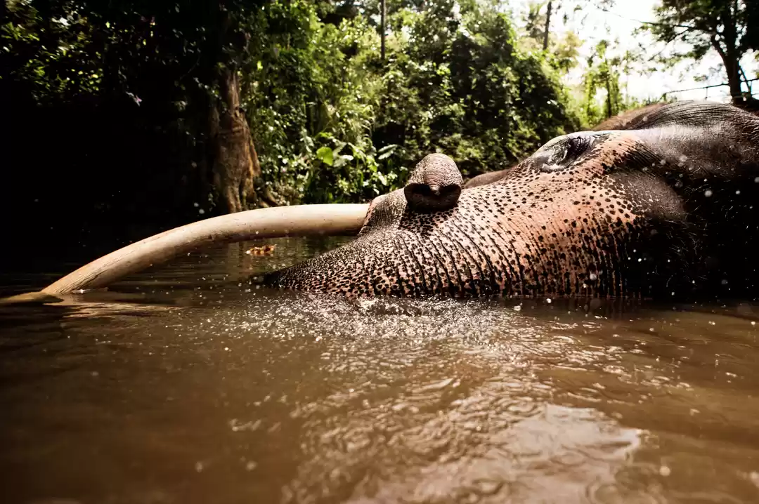 Photo of 5 Best National Park