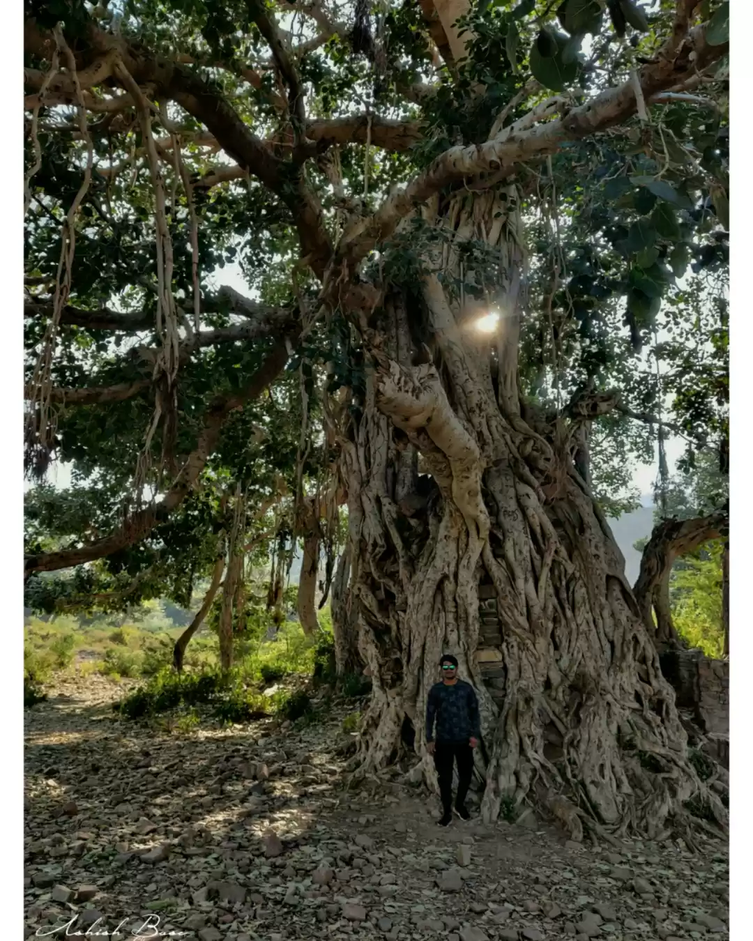 Photo of A sorcerer's curse