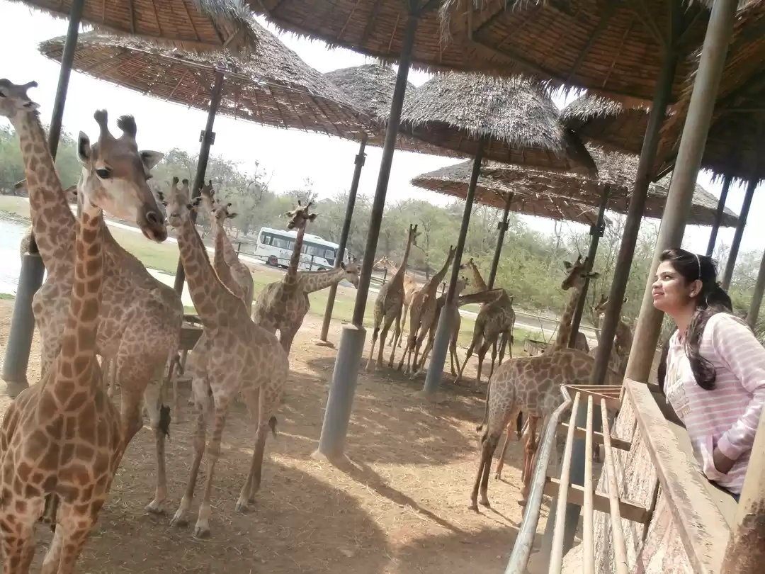 Photo of Thailand: Internatio