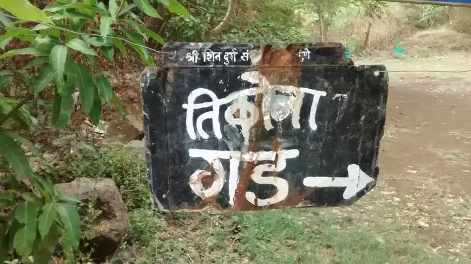 Photo of Tikona Fort with mor