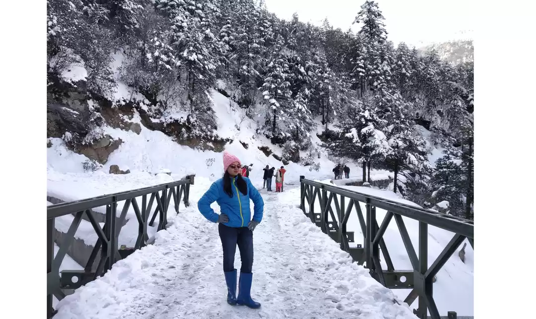 Photo of Splendid Sikkim - Sw