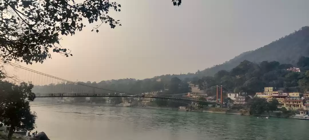 Photo of The Only Guide You N