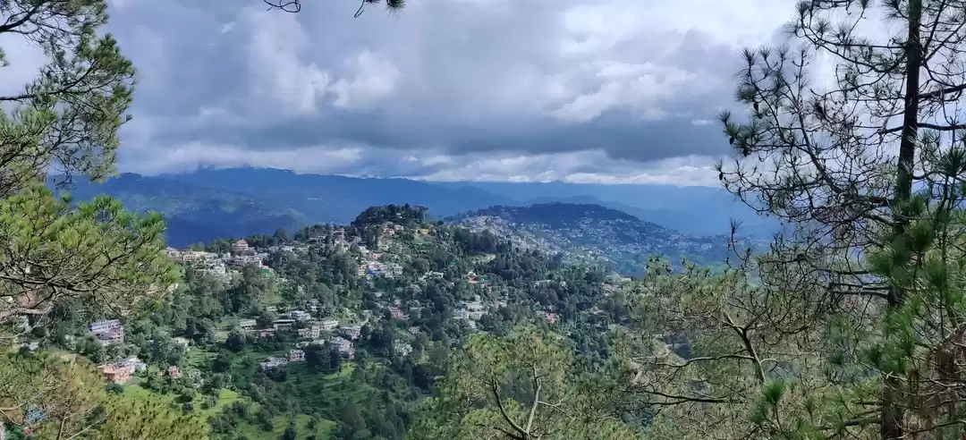 Photo of The 'magnetic' pull