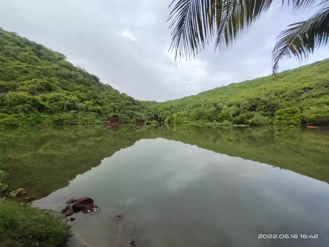 Photo of Arambol diaries