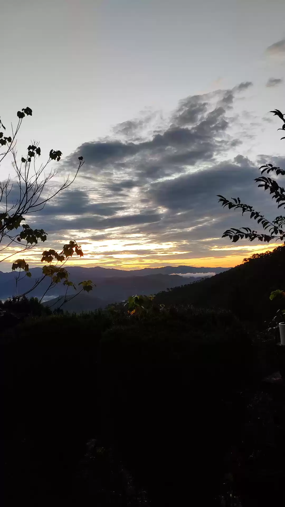 Photo of Heard about this Sus