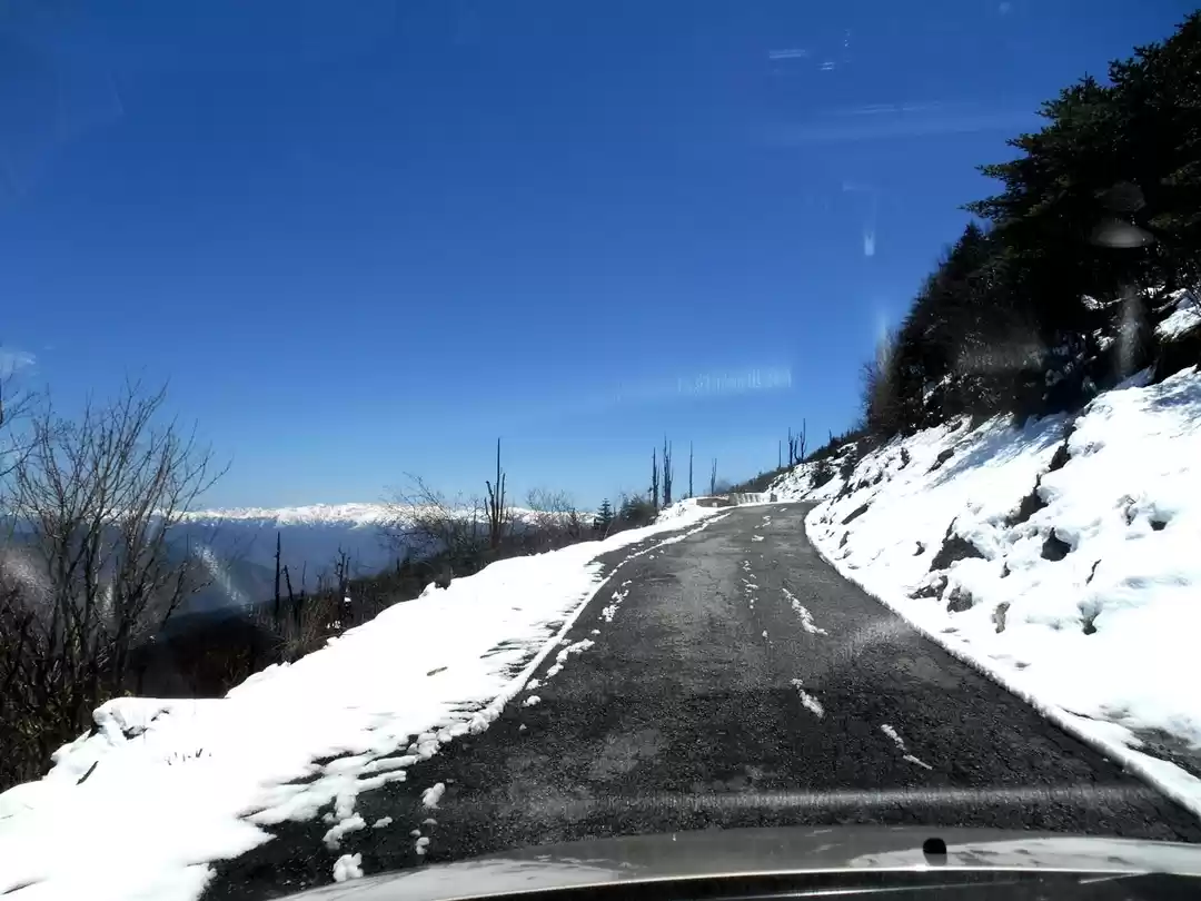 Photo of Trip to Bhutan - Kin