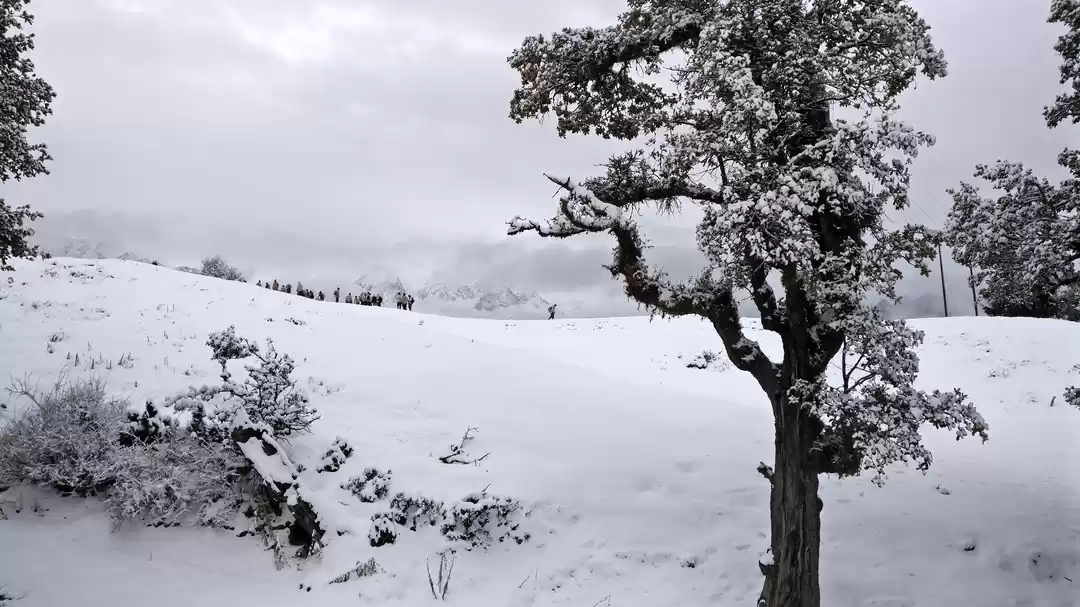 Photo of Treading up the Alak