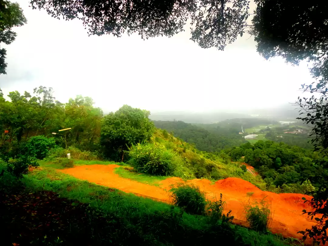 Photo of How I made most out 