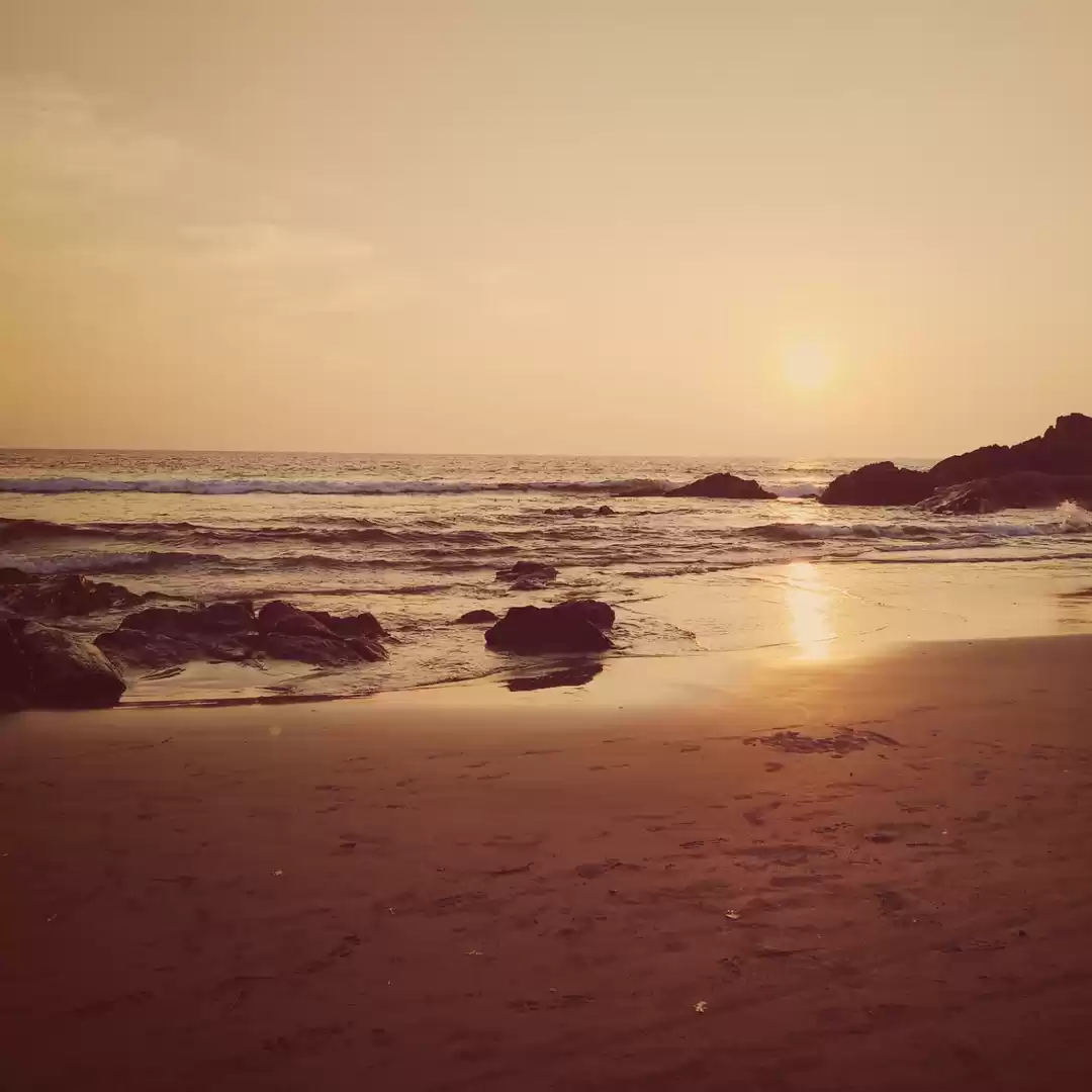 Photo of Goa - A love affair 