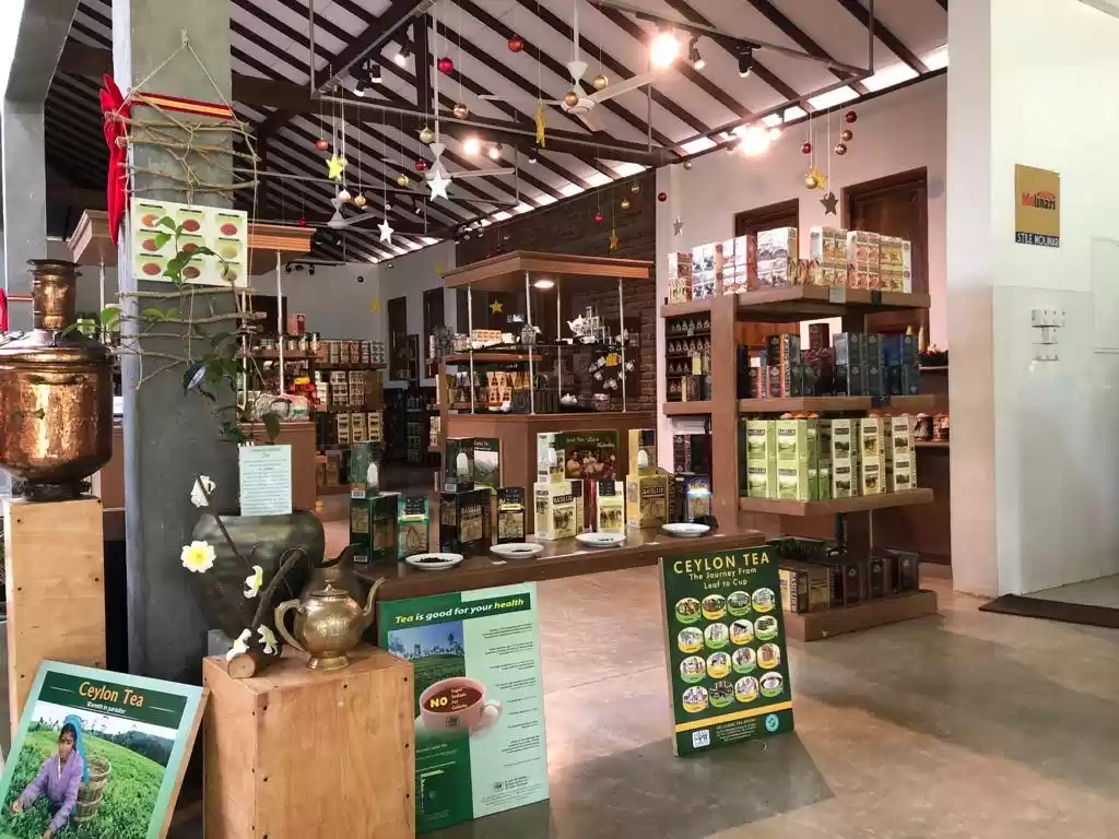 Photo of Beyond the Borders a