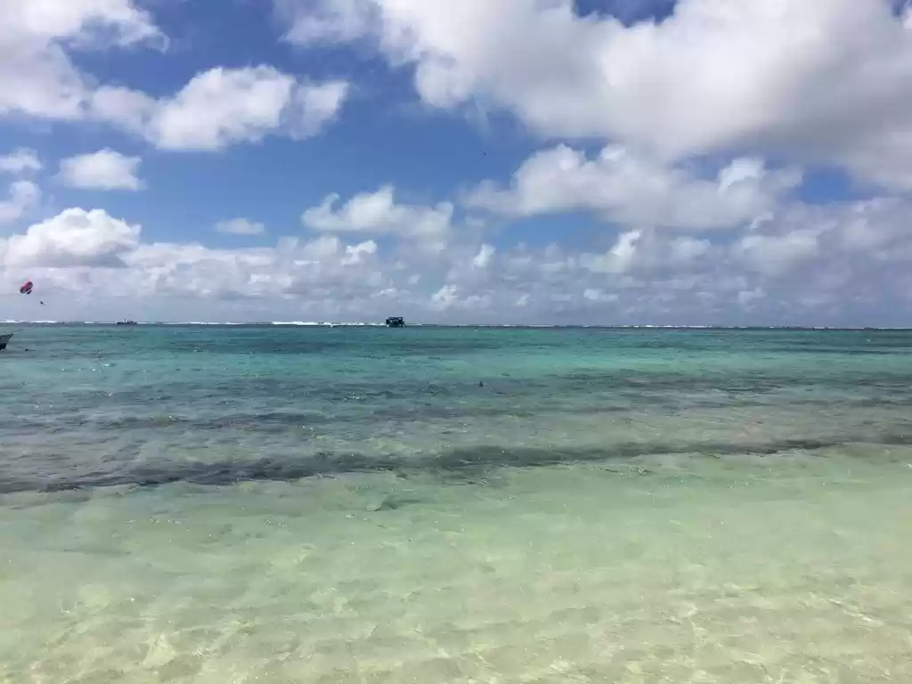 Photo of Beauty in the Midst