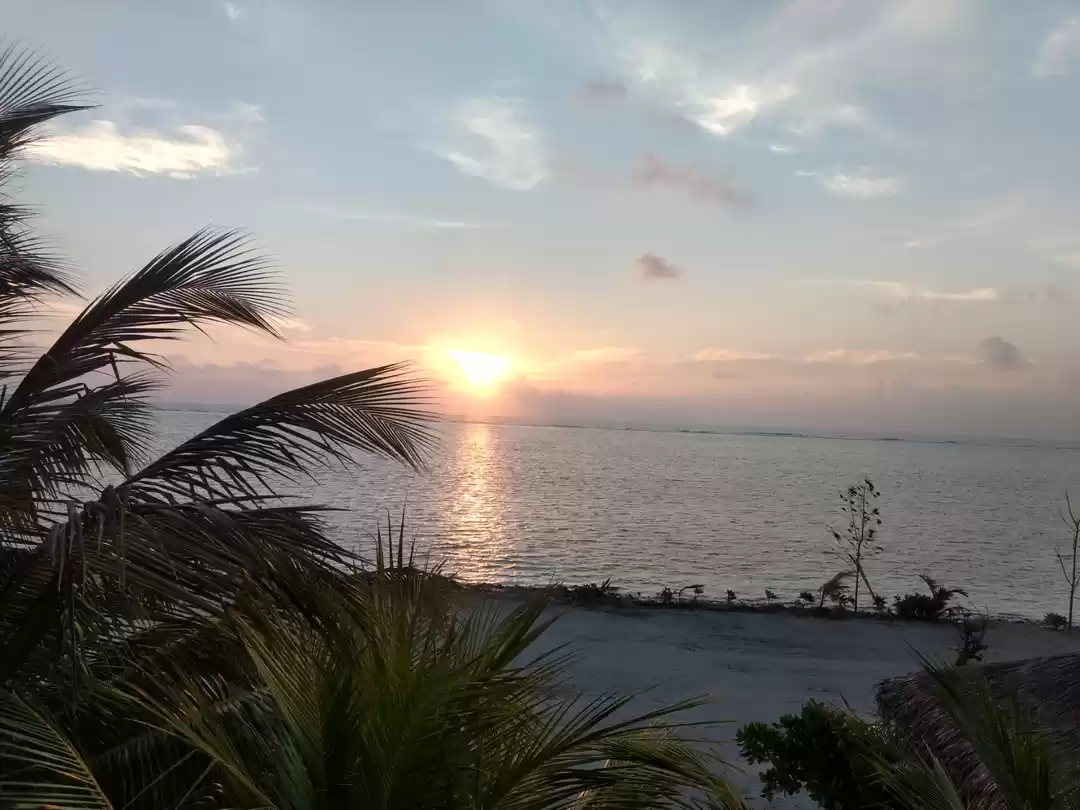 Photo of Nature,Beach,Ocean, 