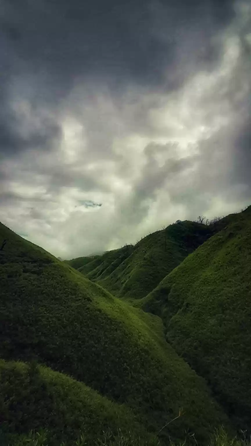 Photo of The Celestial Charm 