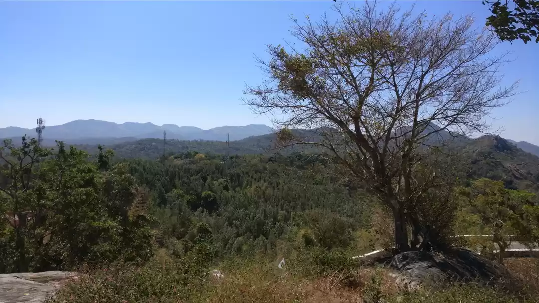 Photo of BR Hills - A perfect