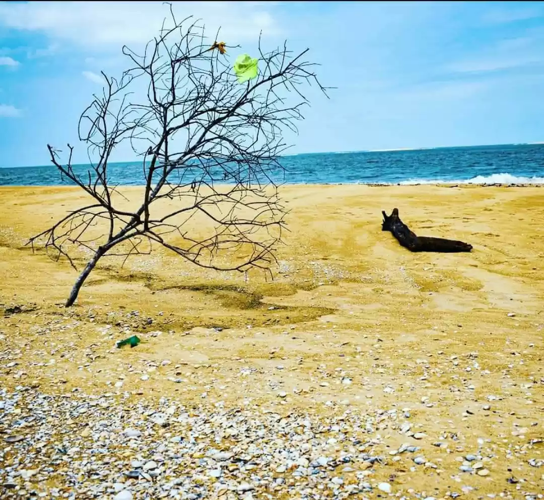 Photo of Pristine beach in In