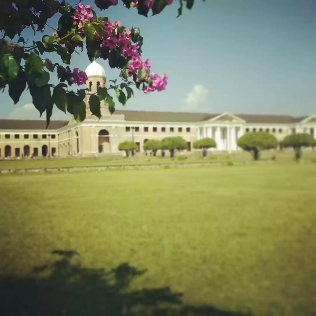 Photo of Forest research inst