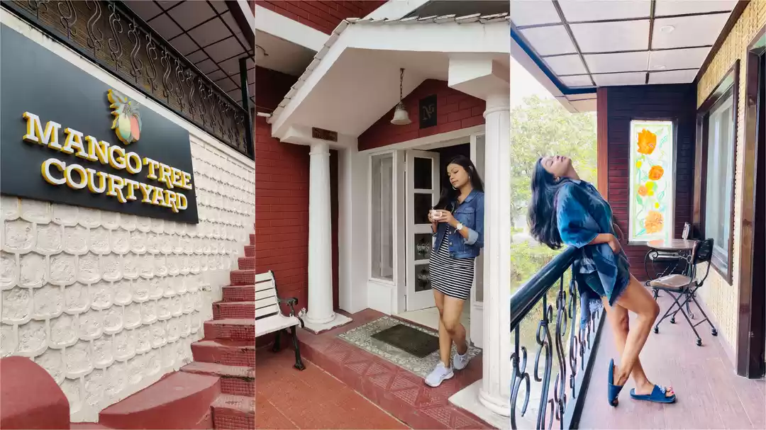 Photo of Mango Tree Courtyard