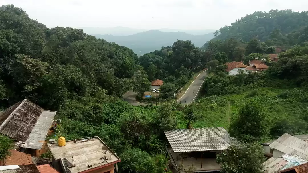 Photo of Indulge in Wildernes