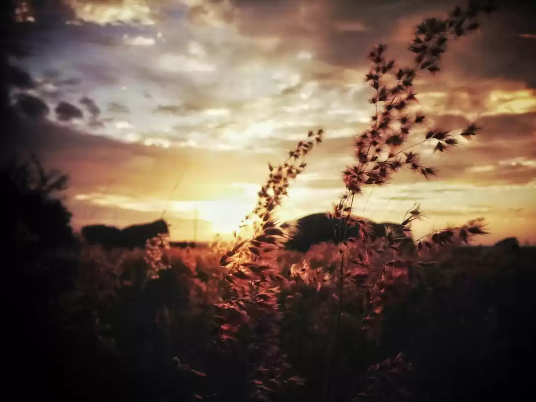 Photo of Hosahalli, A Glimpse