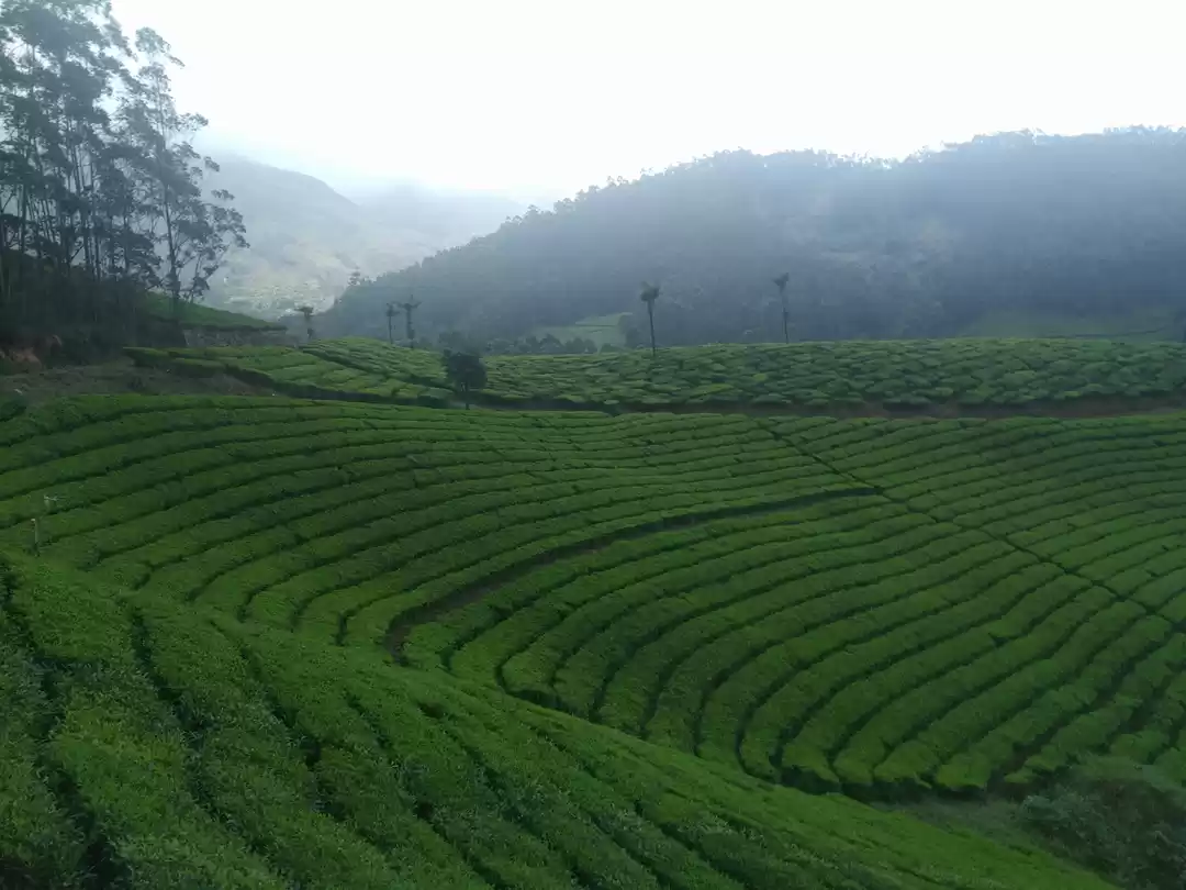 Photo of My last trip of 2019