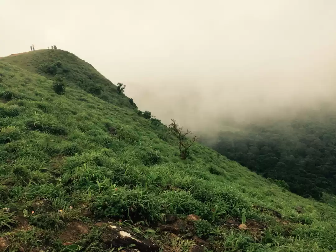 Photo of Coorg:- Misty land a