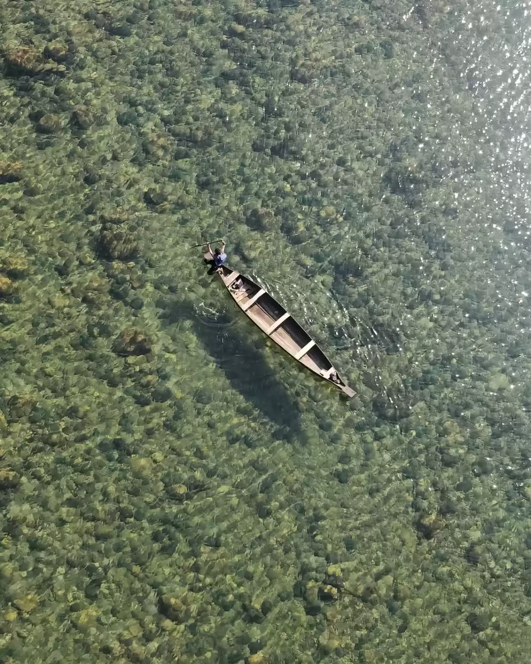 Photo of A week in Mesmerizin