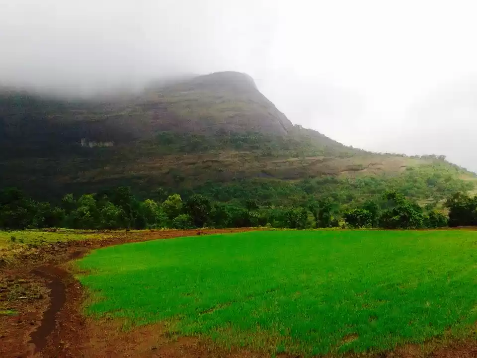 Photo of Trek to Harishchandr