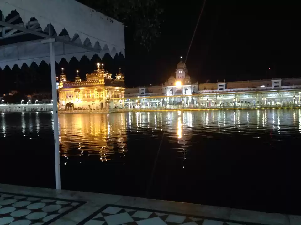 Photo of Mesmerising Golden t