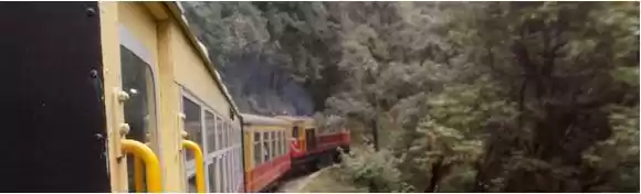 Photo of For The Love of Trav