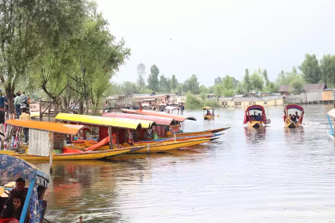 Photo of Shikara Ride On Dal 