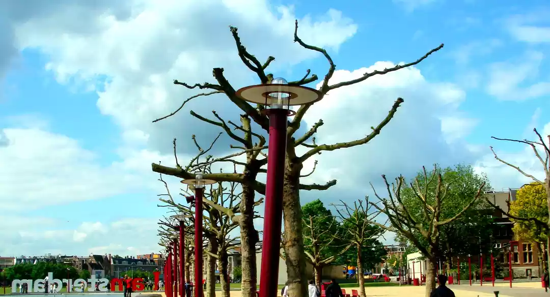 Photo of The One Time I Got L