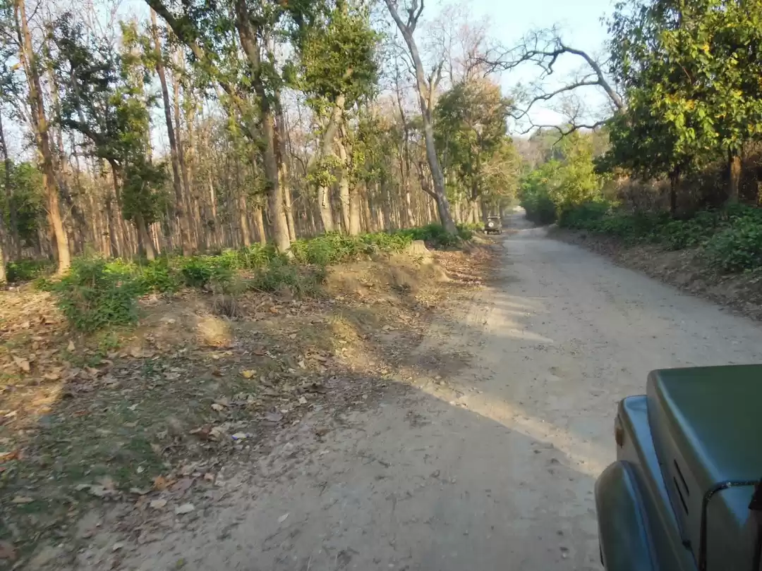 Photo of Corbett National Par