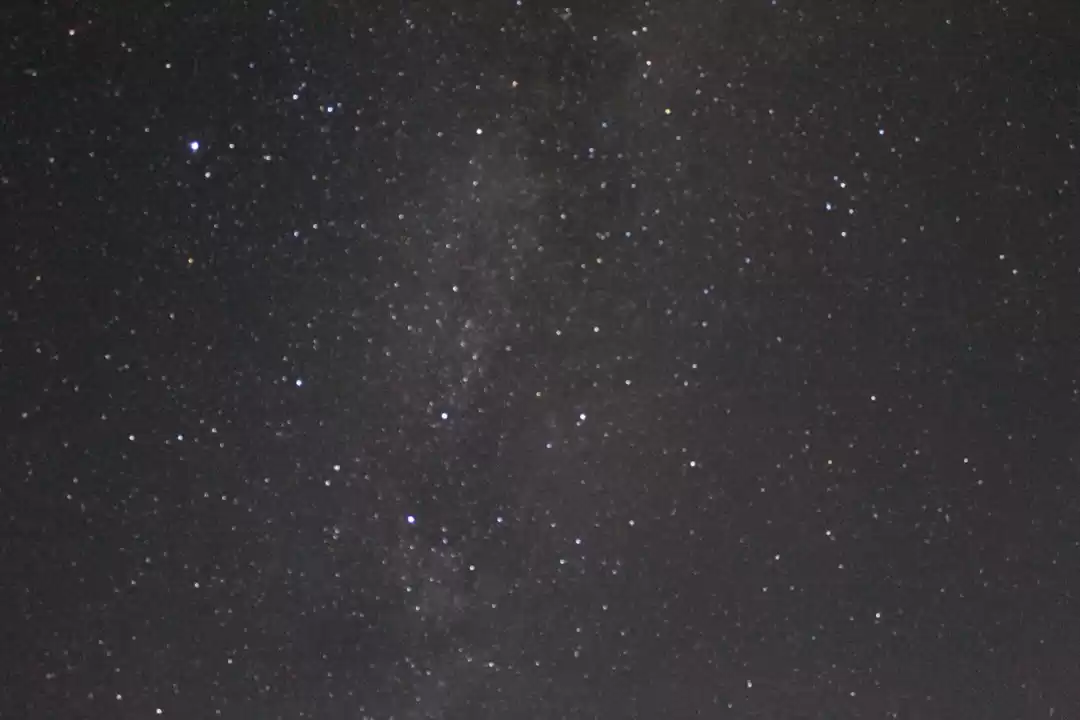 Photo of Malignant Orange & M