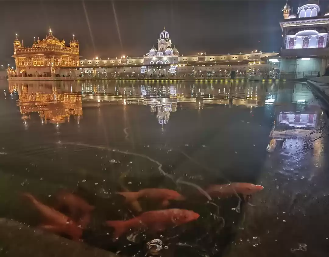 Photo of Golden Punjab