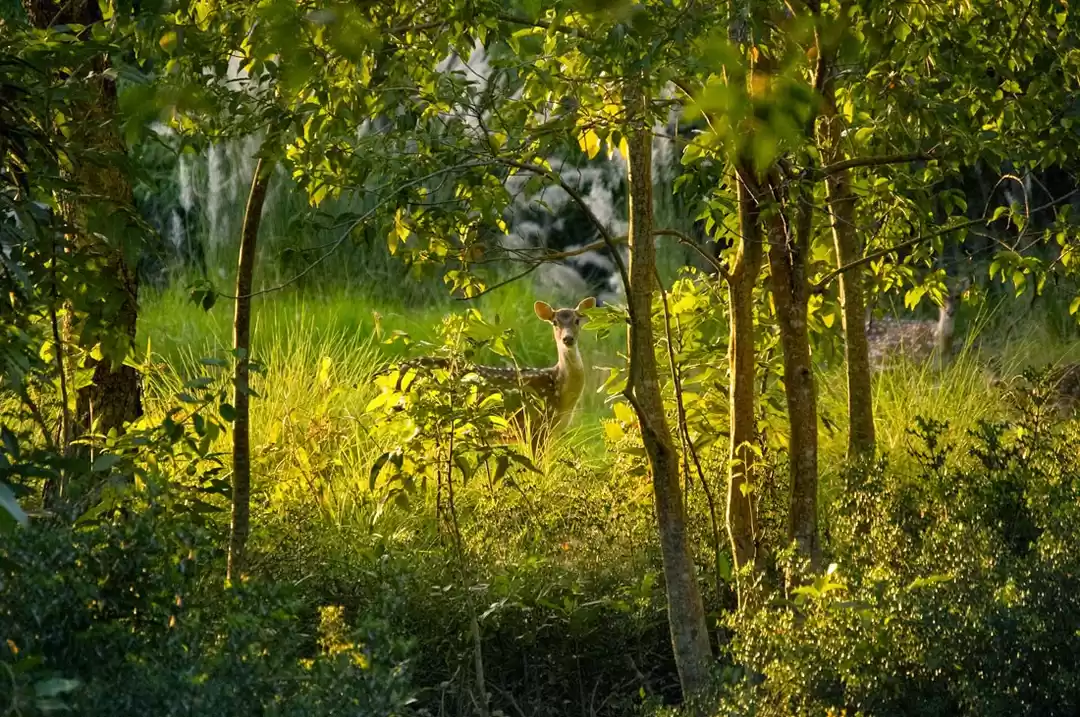 Photo of A Weekend Trip from