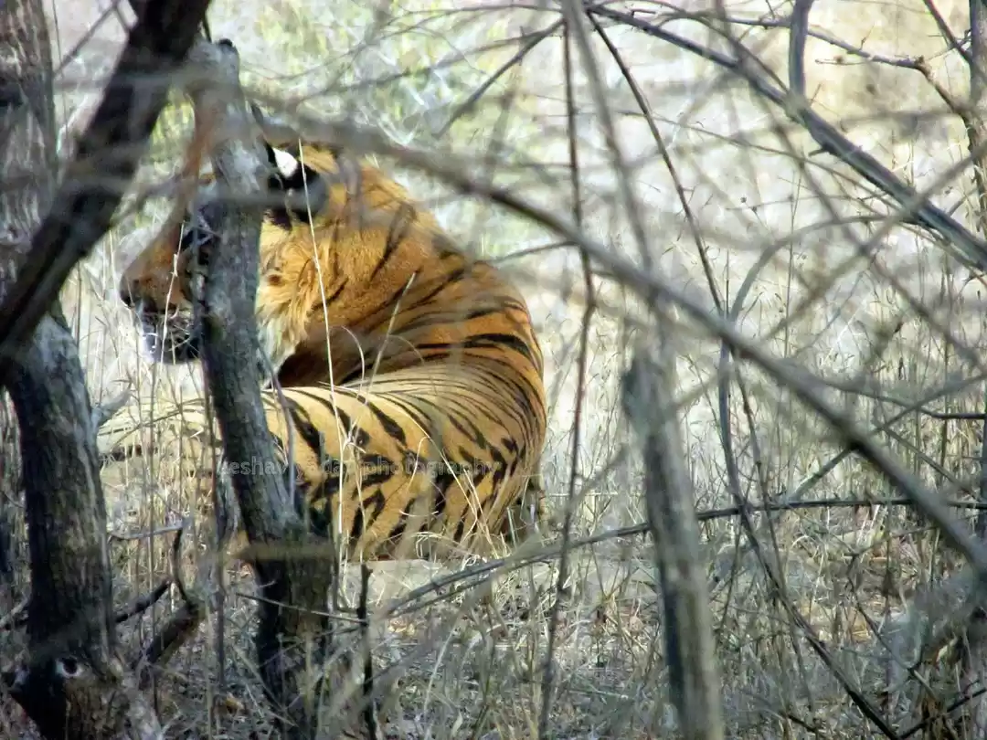 Photo of An Unforgettable Tri