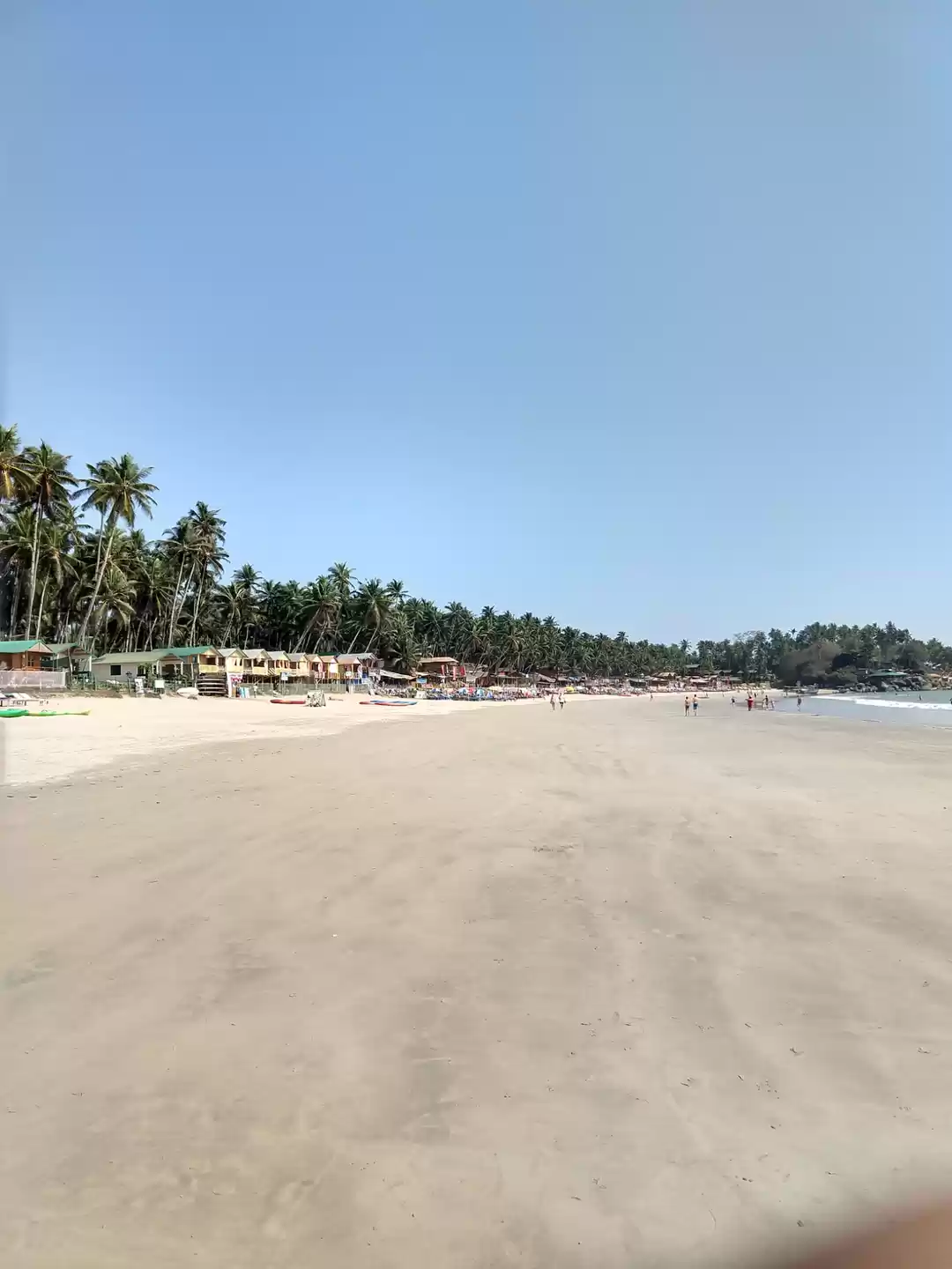 Photo of Mojo of goa