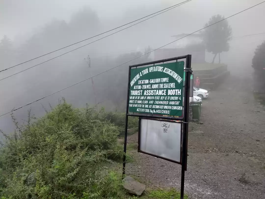 Photo of Triund trek 
