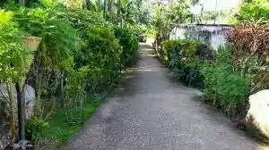 Photo of Make it a go to the 