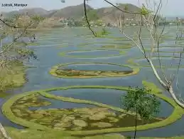 Photo of The World's only flo