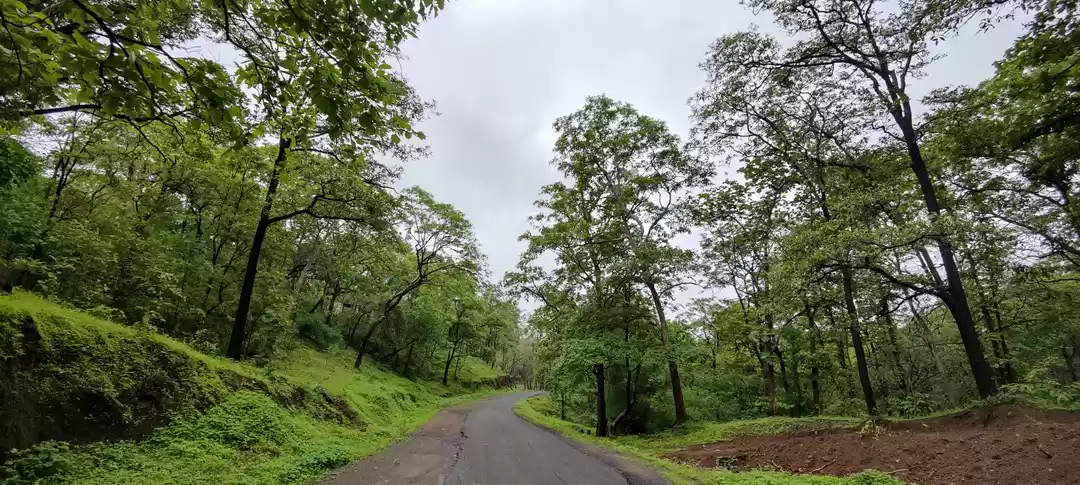 Photo of Hidden gems of Gujar