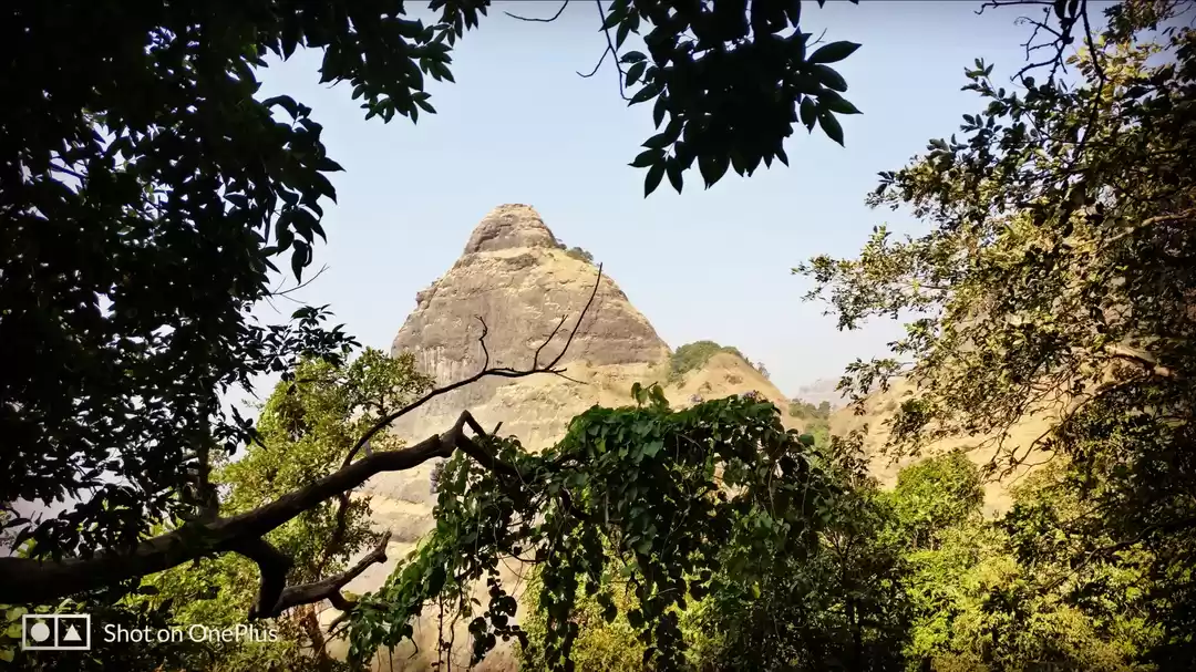 Photo of WOW team at Paymodi