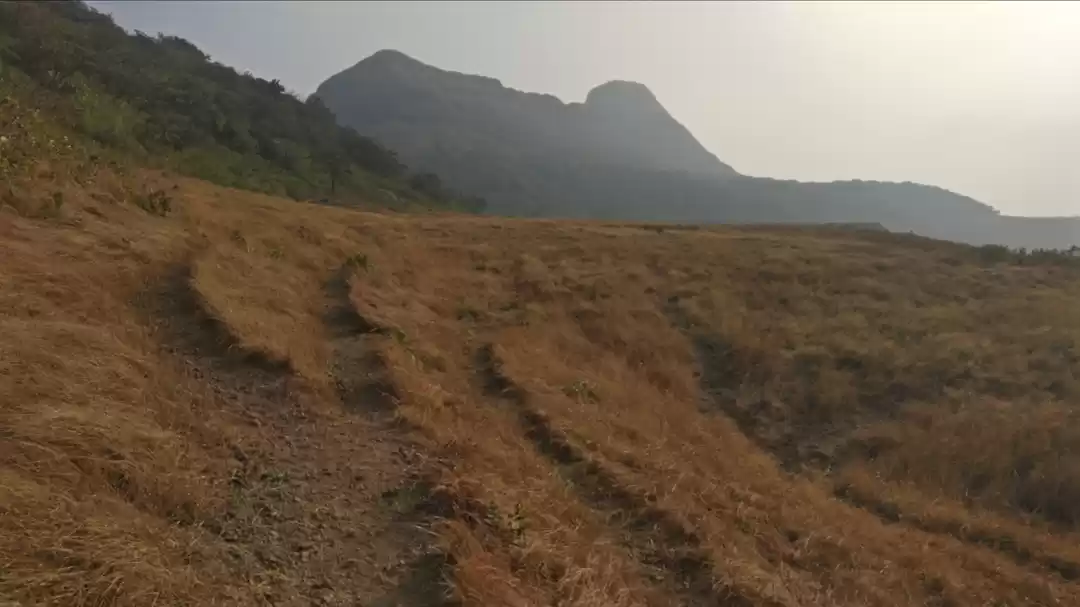 Photo of Morgiri - The watch