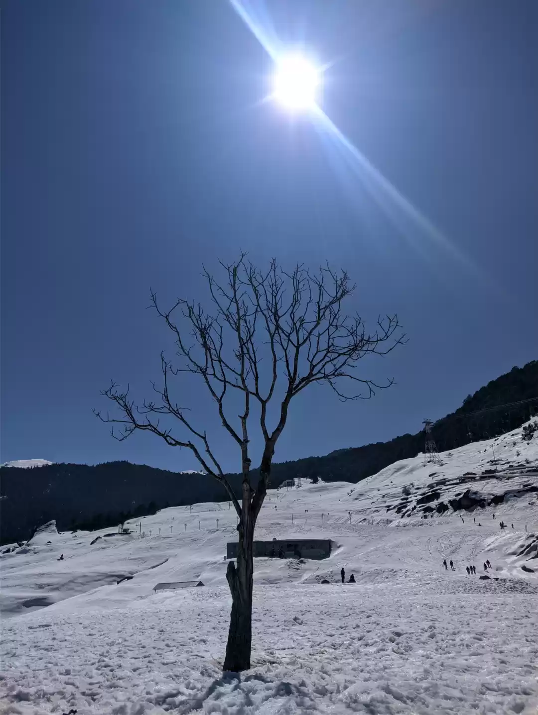 Photo of Auli laga, joshimath