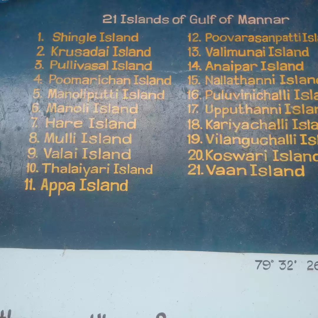 Photo of Gulf of Mannar- Muse