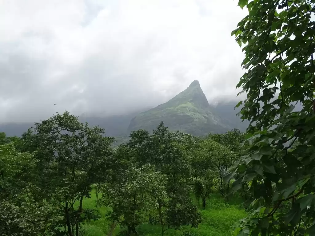 Photo of Trek to Mrugagad and