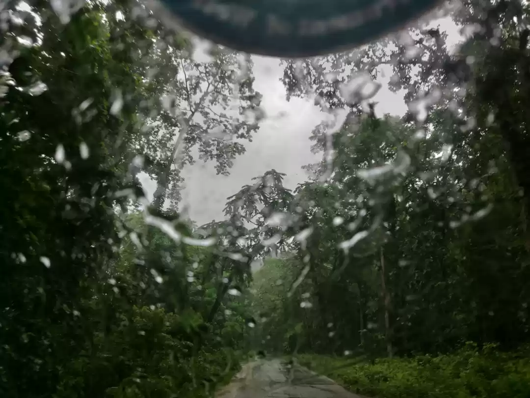 Photo of Monsoon and Me: an i