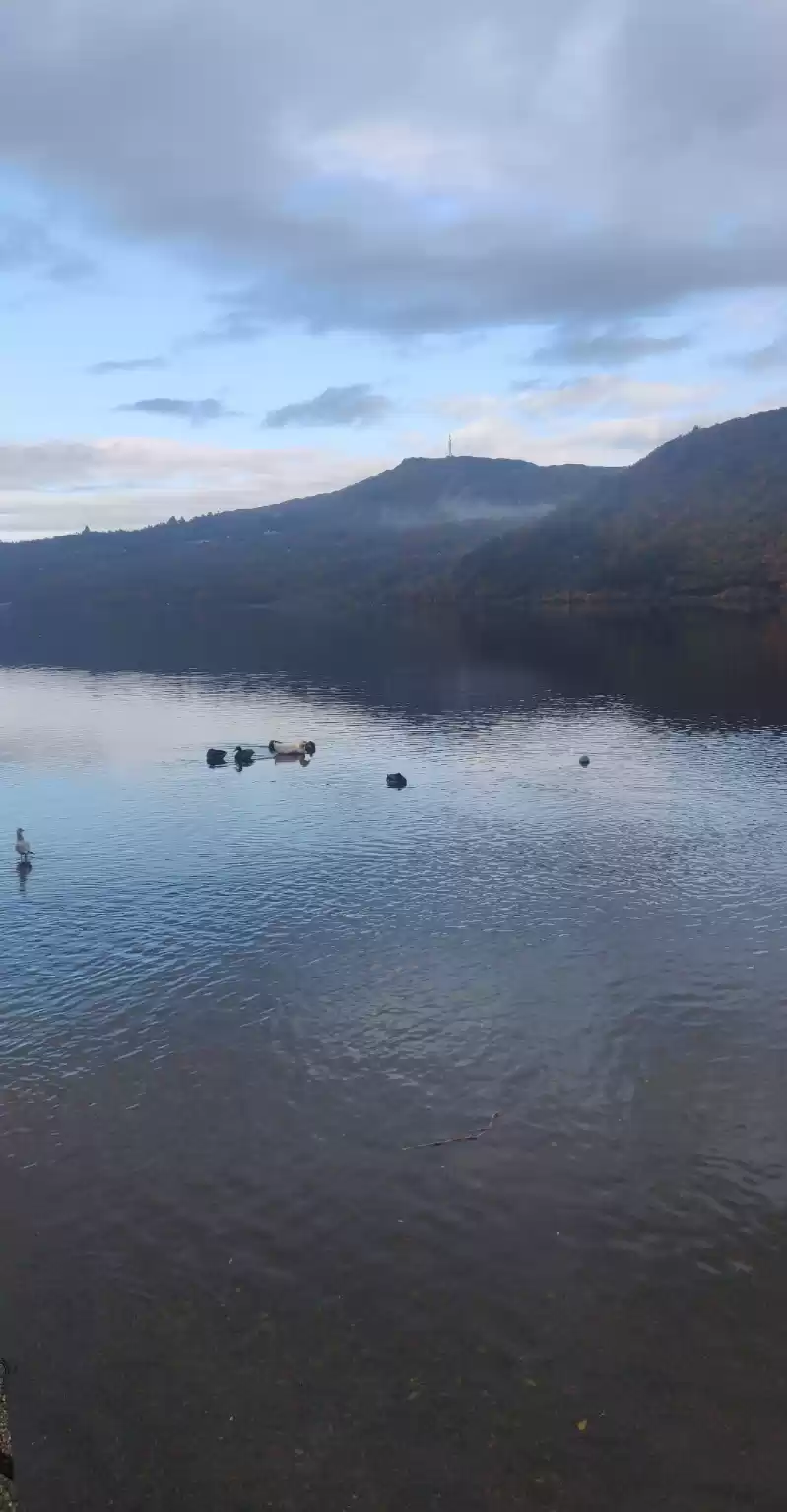 Photo of To the top of Englan